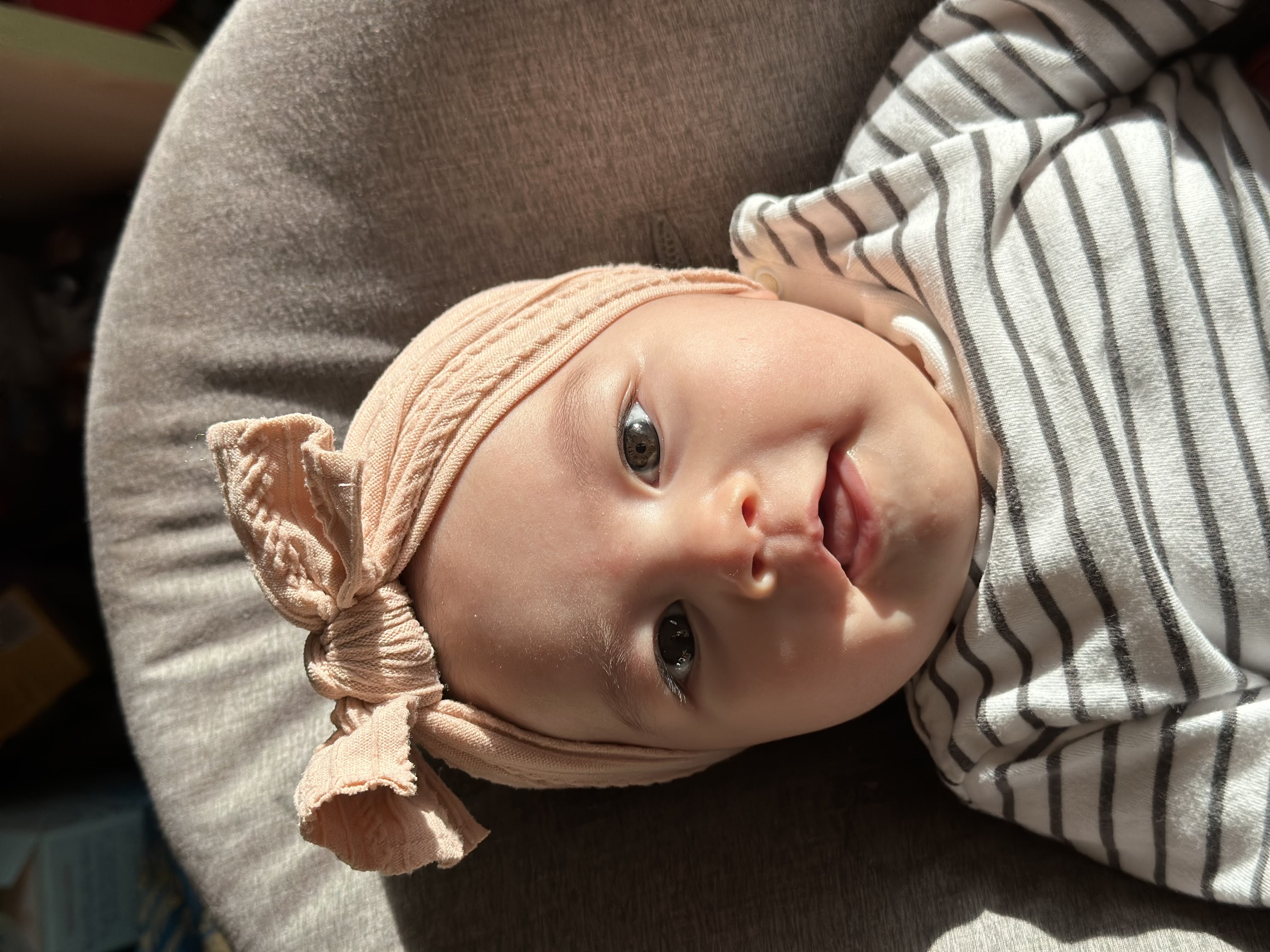 Ellie in the sunlight!